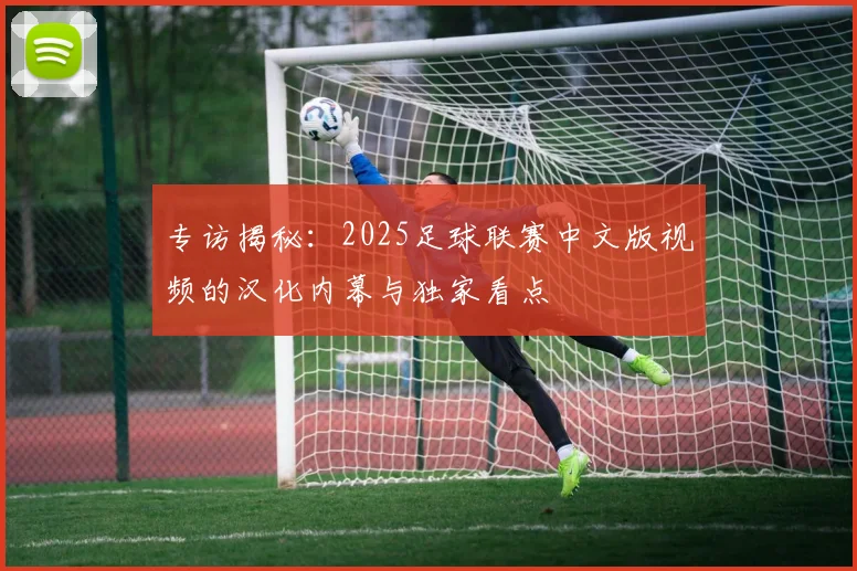 专访揭秘:2025足球联赛中文版视频的汉化内幕与独家看点