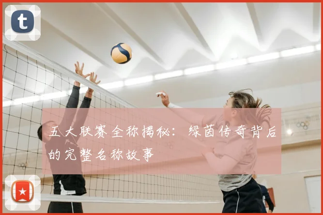 五大联赛全称揭秘：绿茵传奇背后的完整名称故事