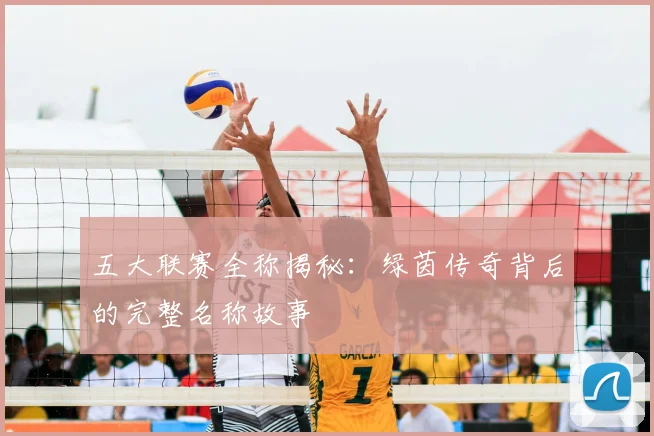 五大联赛全称揭秘：绿茵传奇背后的完整名称故事