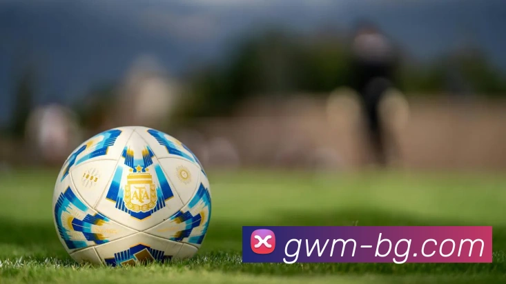 奖项4